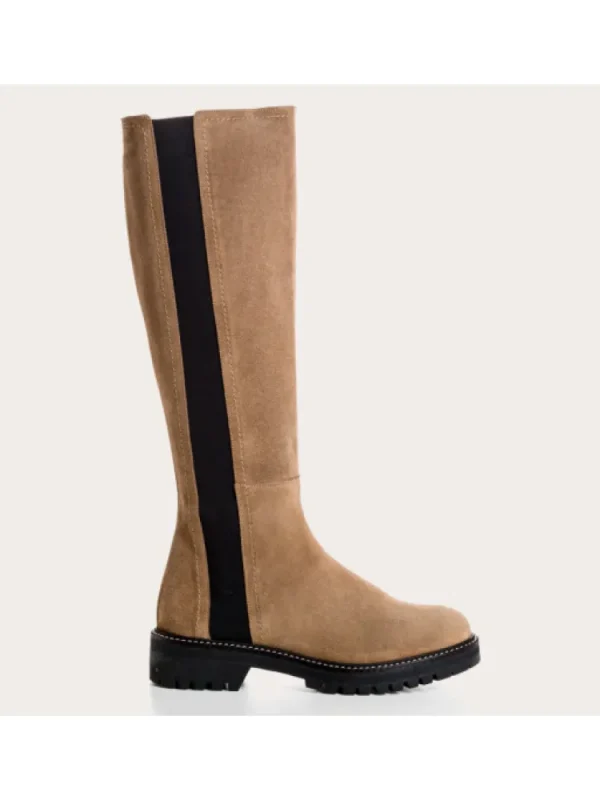 Femme Reqins Bottes^Bottes Drazik