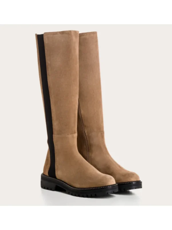 Femme Reqins Bottes^Bottes Drazik