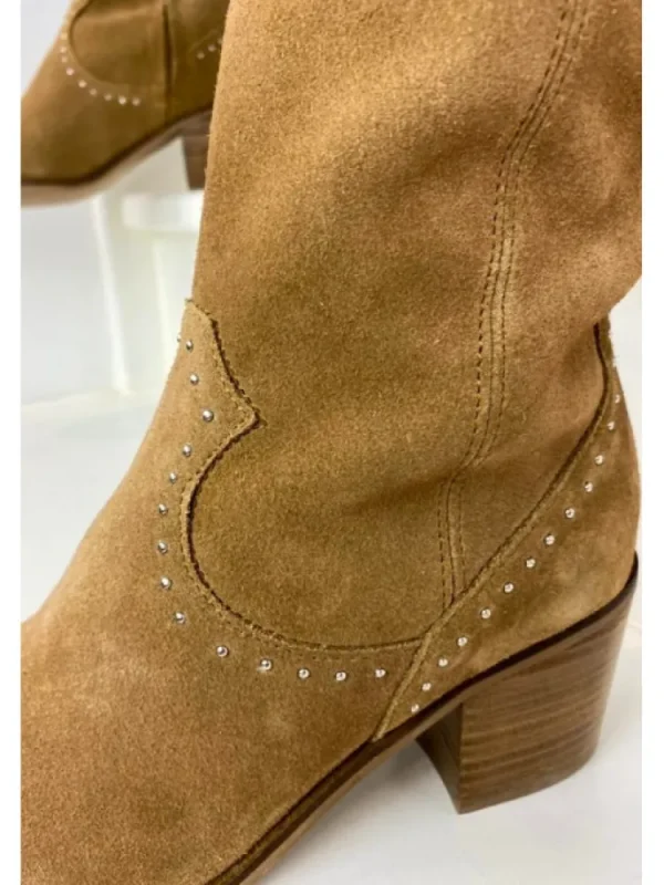 Femme Reqins Bottes^Bottes Zodiac Peau-