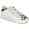 Femme Palladium Baskets^Pallatempo 04 White/Leopard-