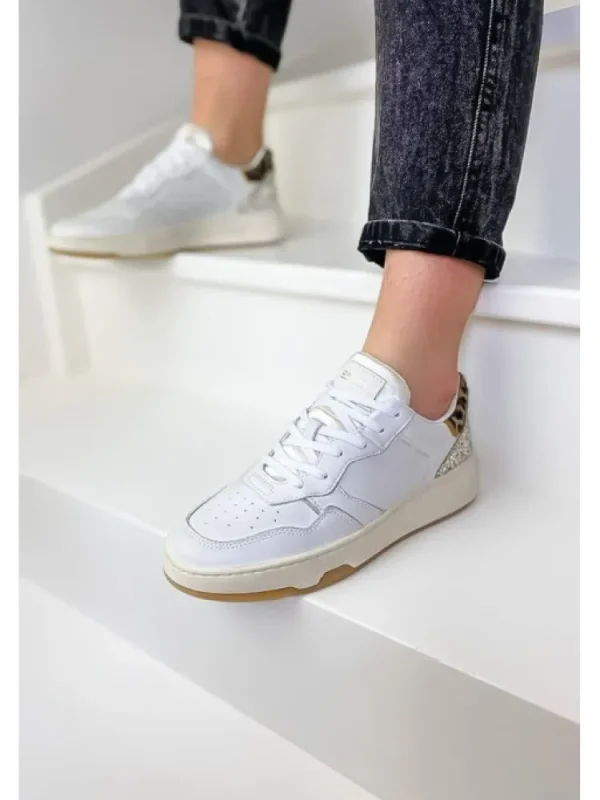 Femme Crime London Baskets^Sneakers Timeless Low Top Multicolor-