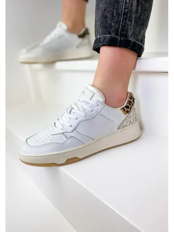 Femme Crime London Baskets^Sneakers Timeless Low Top Multicolor-