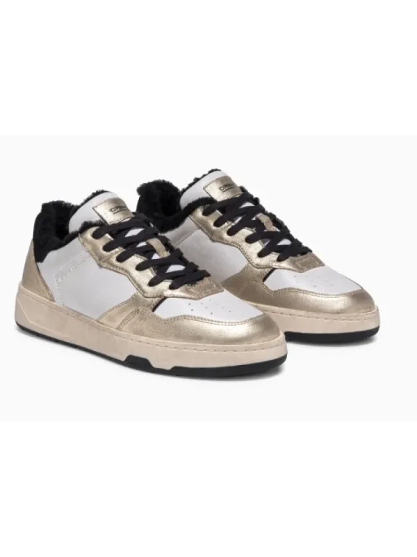 Femme Crime London Baskets^Sneakers Timeless Low Top Dore-